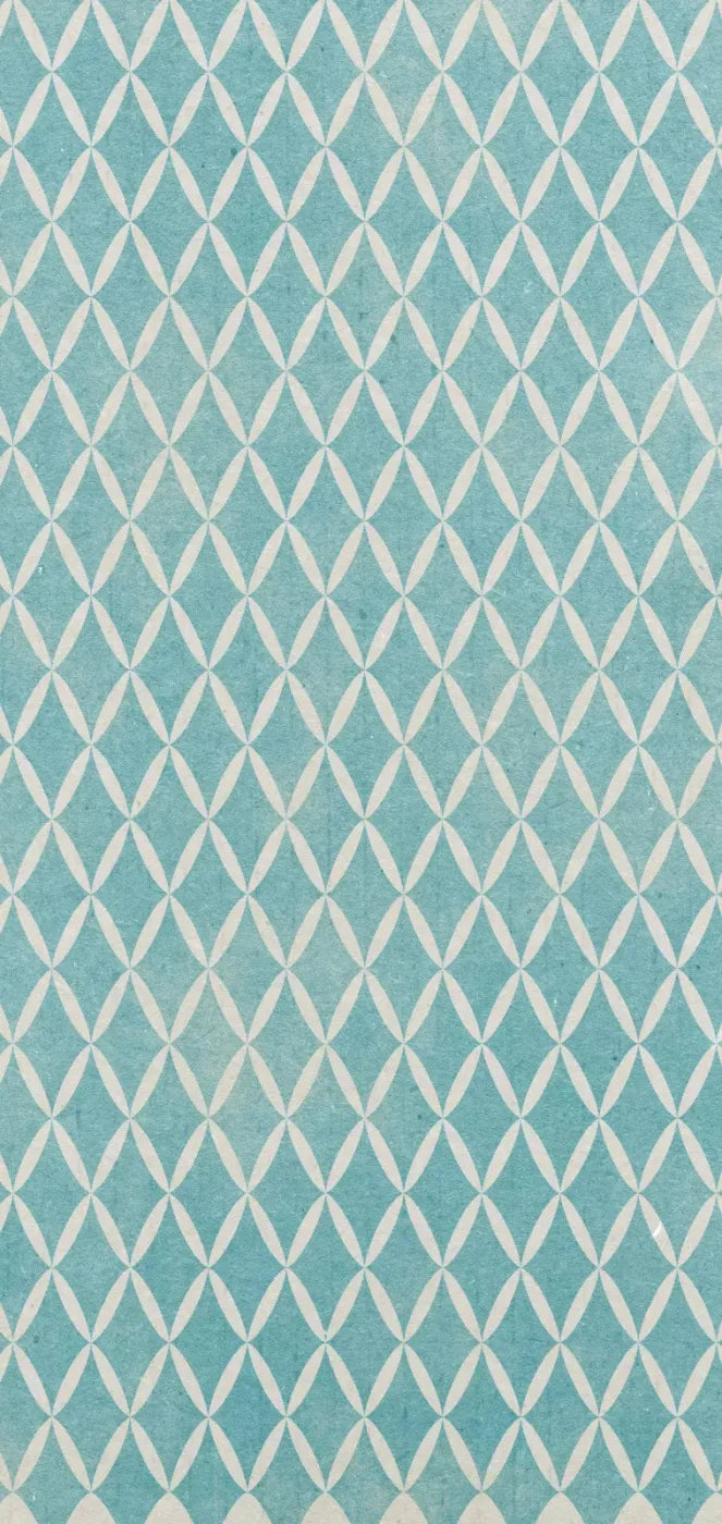 Excess 8X16 Ultracloth ( 96 X 192 Inch ) Backdrop