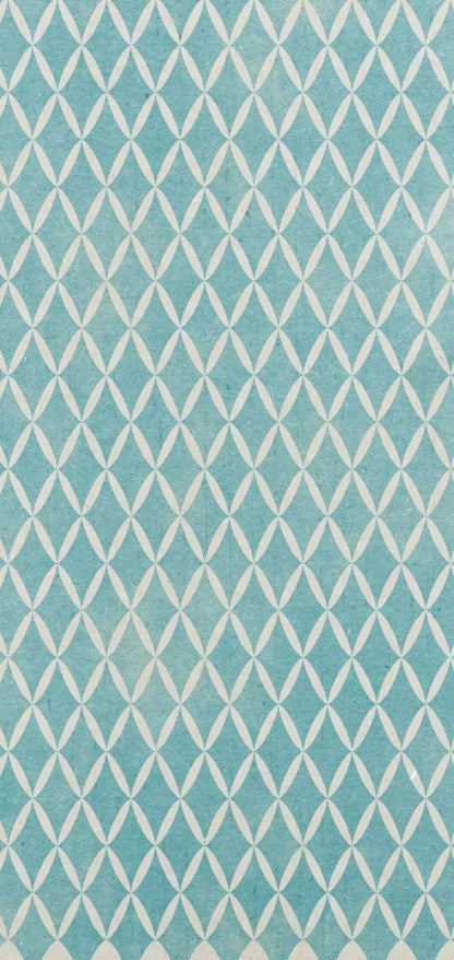Excess 8X16 Ultracloth ( 96 X 192 Inch ) Backdrop