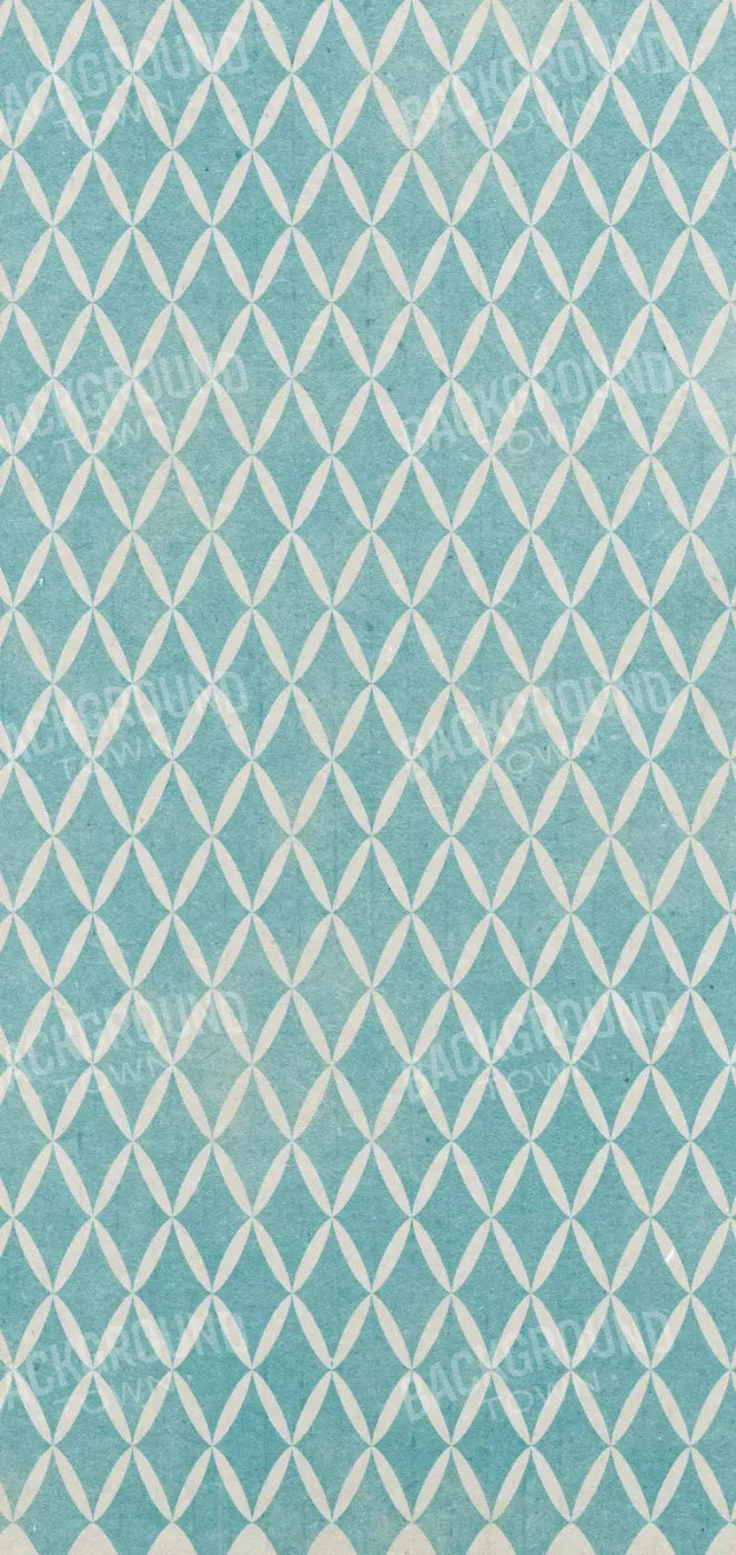 Excess 8X16 Ultracloth ( 96 X 192 Inch ) Backdrop