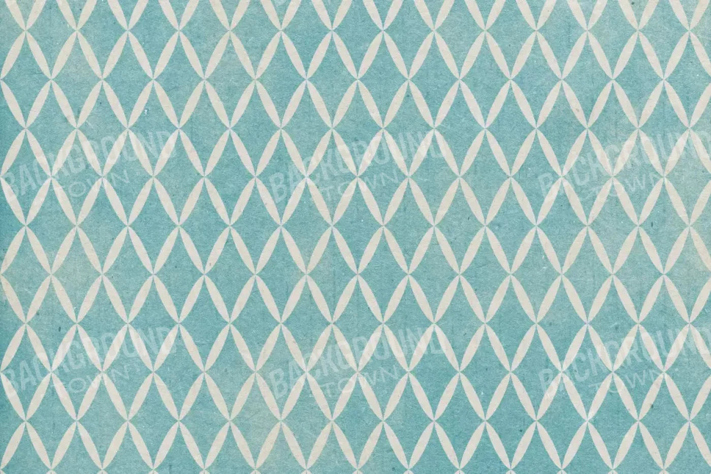 Excess 8X5 Ultracloth ( 96 X 60 Inch ) Backdrop