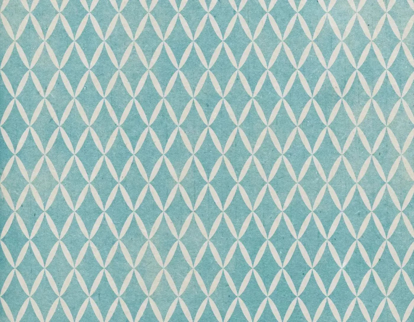 Excess 8X6 Fleece ( 96 X 72 Inch ) Backdrop