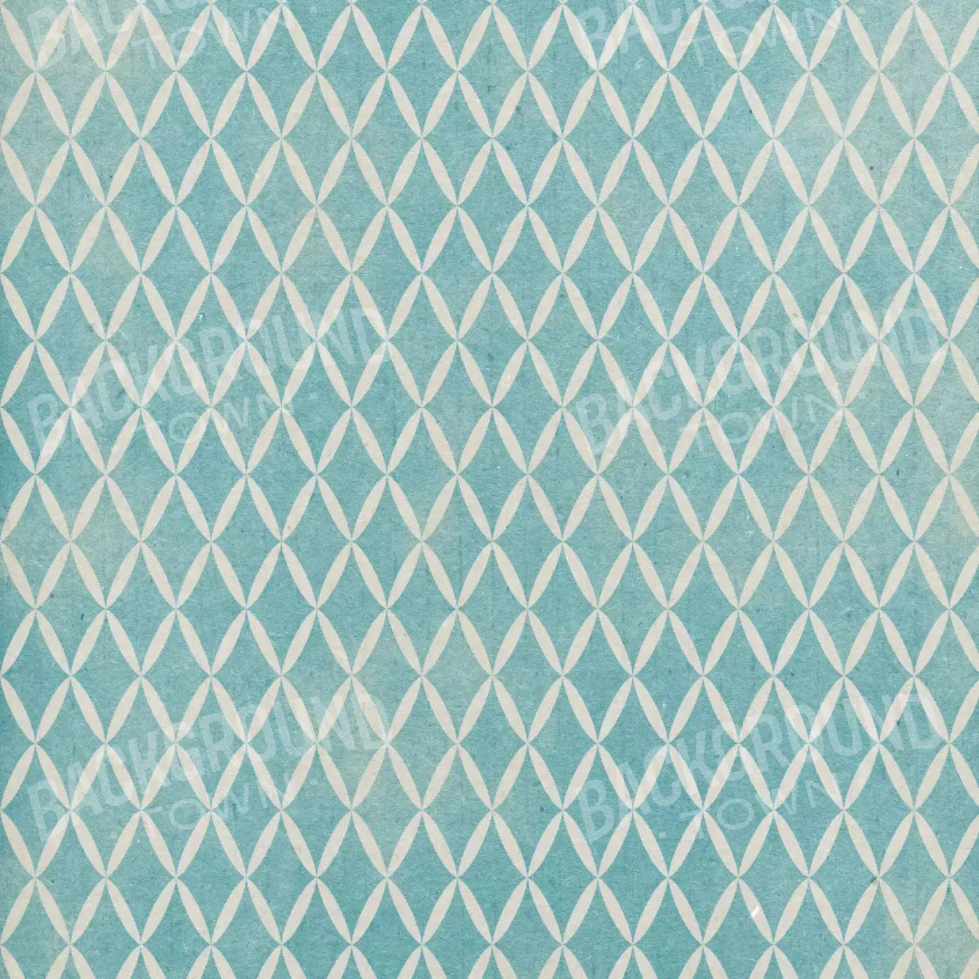 Excess 8X8 Fleece ( 96 X Inch ) Backdrop