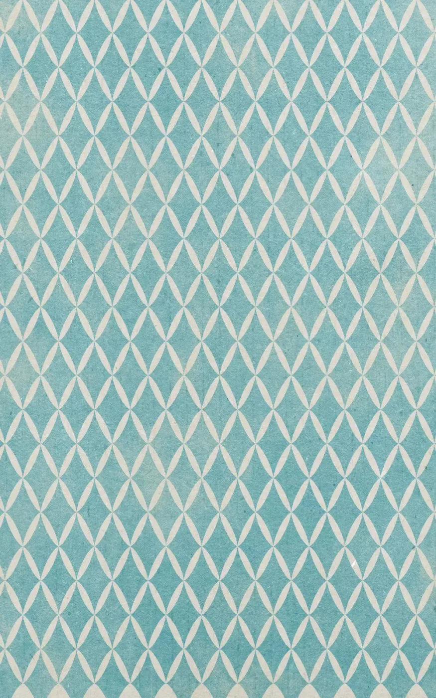 Excess 9X14 Ultracloth ( 108 X 168 Inch ) Backdrop