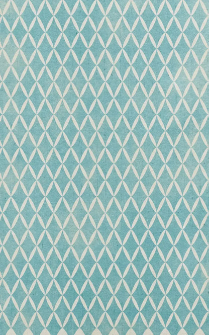 Excess 9X14 Ultracloth ( 108 X 168 Inch ) Backdrop