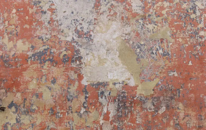 Exempt 16X10 Ultracloth ( 192 X 120 Inch ) Backdrop