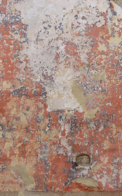 Exempt 9X14 Ultracloth ( 108 X 168 Inch ) Backdrop