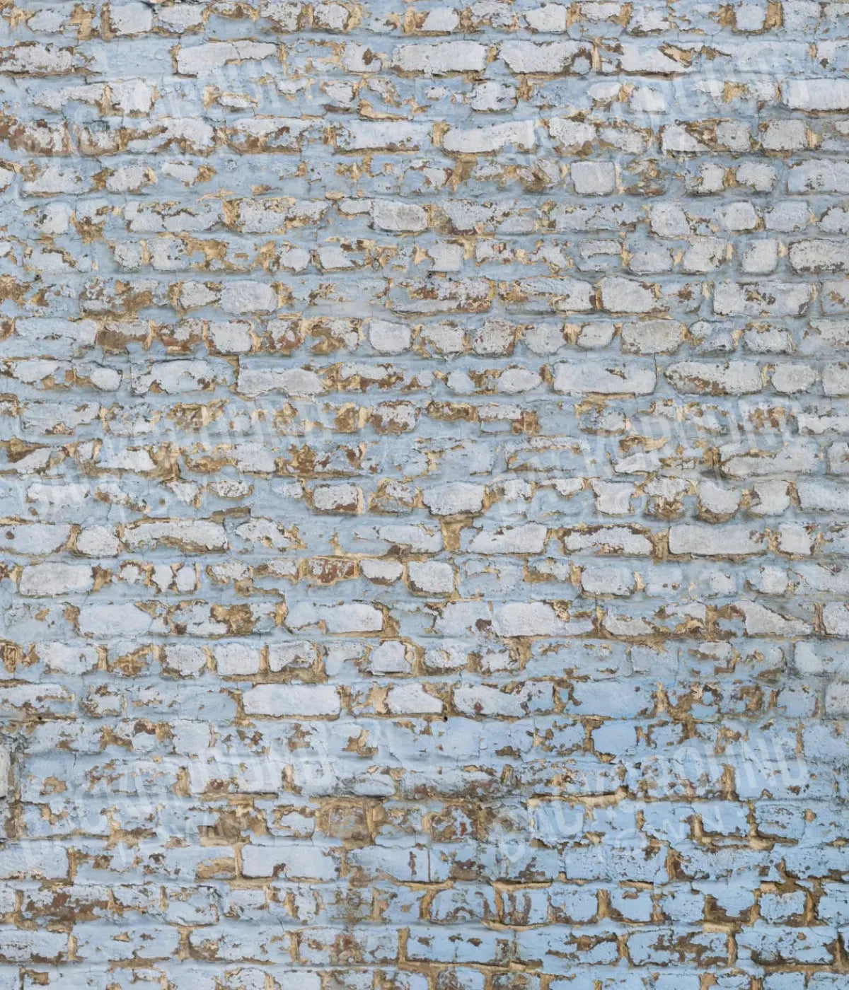 Exterior 10X12 Ultracloth ( 120 X 144 Inch ) Backdrop