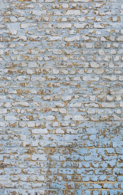 Exterior 10X16 Ultracloth ( 120 X 192 Inch ) Backdrop