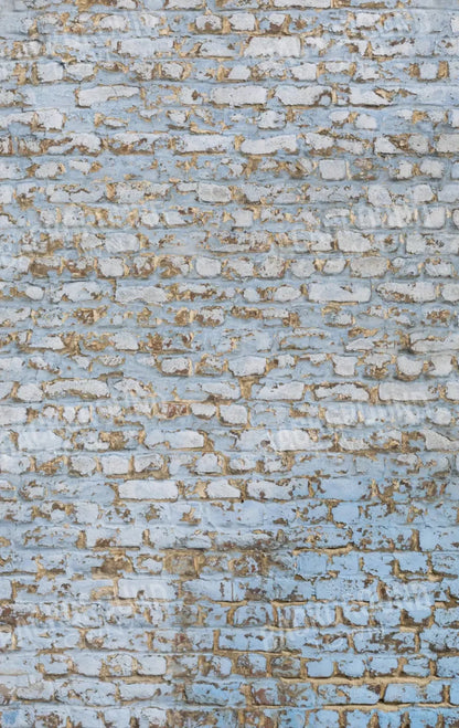 Exterior 10X16 Ultracloth ( 120 X 192 Inch ) Backdrop