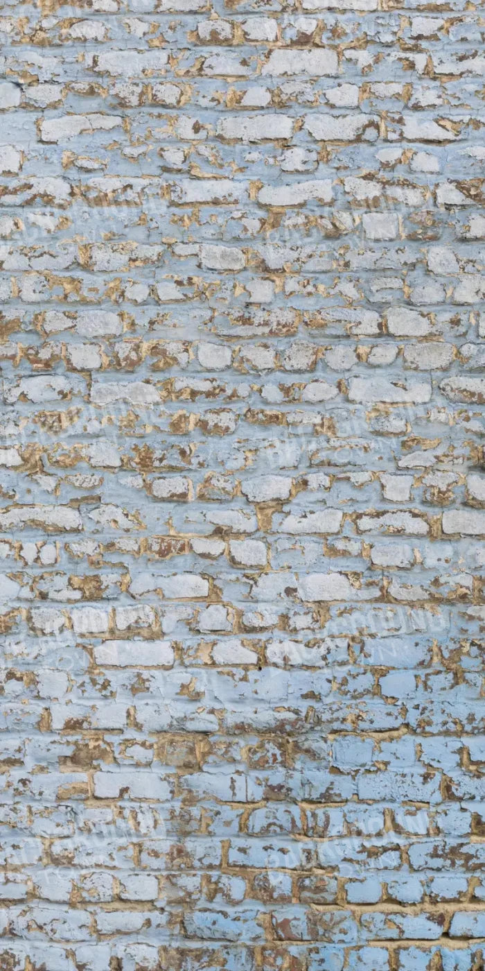 Exterior 10X20 Ultracloth ( 120 X 240 Inch ) Backdrop