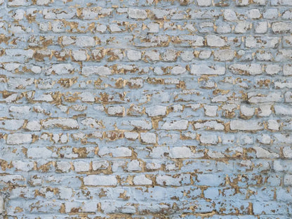 Exterior 10X8 Fleece ( 120 X 96 Inch ) Backdrop