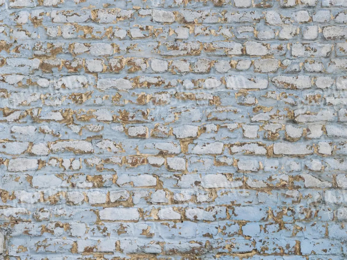 Exterior 10X8 Fleece ( 120 X 96 Inch ) Backdrop