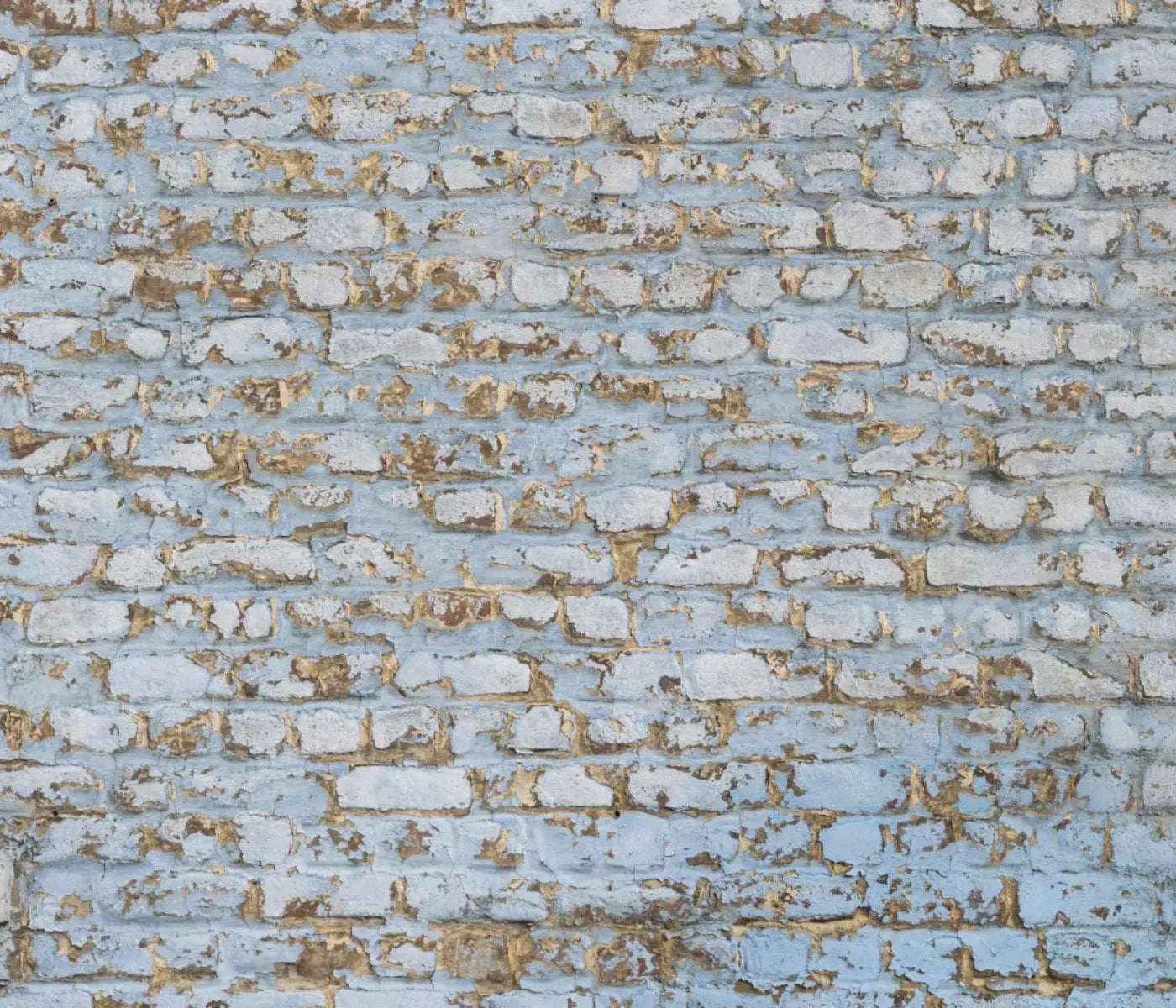 Exterior 12X10 Ultracloth ( 144 X 120 Inch ) Backdrop