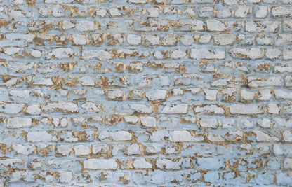 Exterior 12X8 Ultracloth ( 144 X 96 Inch ) Backdrop