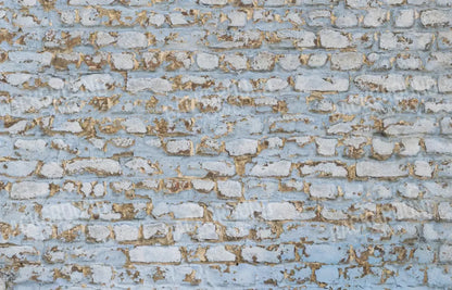 Exterior 12X8 Ultracloth ( 144 X 96 Inch ) Backdrop