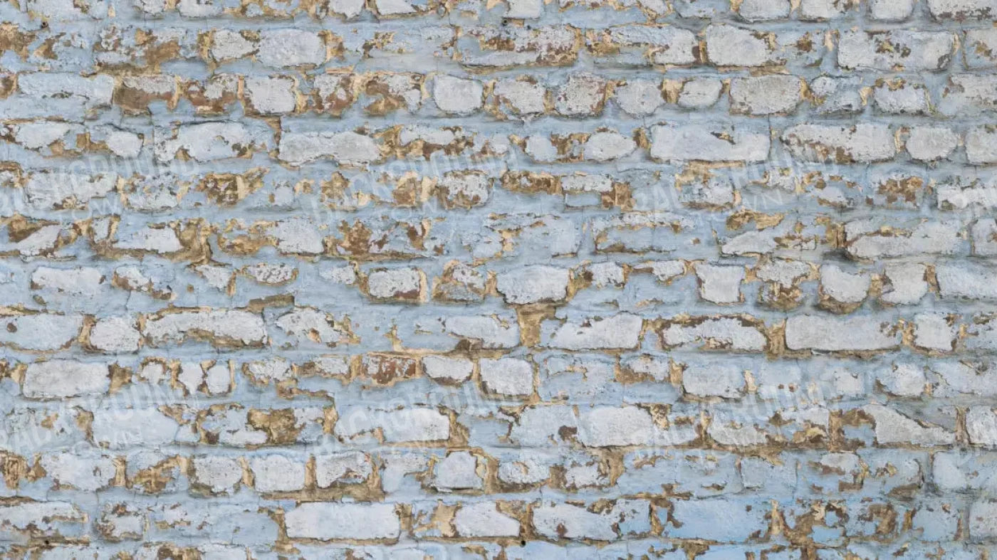 Exterior 14X8 Ultracloth ( 168 X 96 Inch ) Backdrop