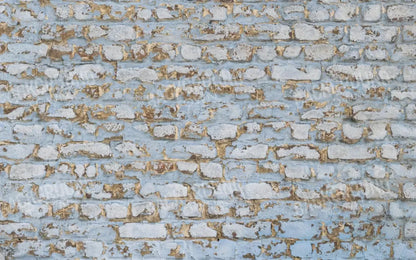 Exterior 14X9 Ultracloth ( 168 X 108 Inch ) Backdrop