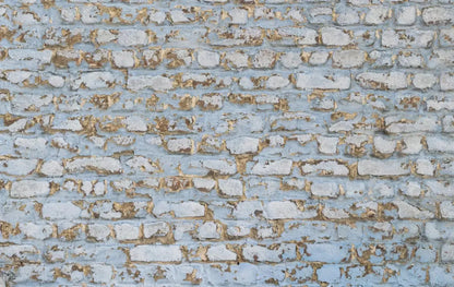 Exterior 16X10 Ultracloth ( 192 X 120 Inch ) Backdrop