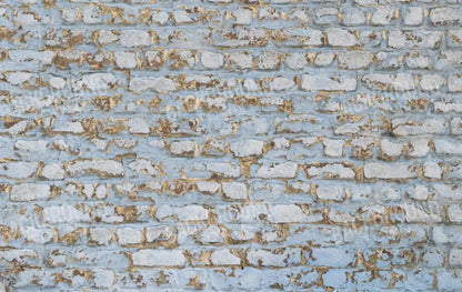 Exterior 16X10 Ultracloth ( 192 X 120 Inch ) Backdrop