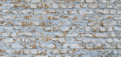 Exterior 16X8 Ultracloth ( 192 X 96 Inch ) Backdrop