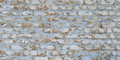 Exterior 20X10 Ultracloth ( 240 X 120 Inch ) Backdrop