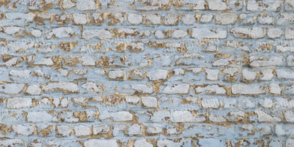 Exterior 20X10 Ultracloth ( 240 X 120 Inch ) Backdrop