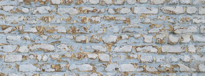 Exterior 20X8 Ultracloth ( 240 X 96 Inch ) Backdrop