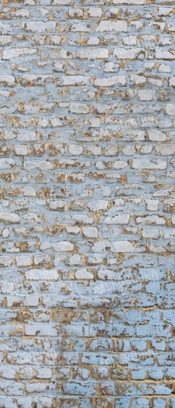 Exterior 5X12 Ultracloth For Westcott X-Drop ( 60 X 144 Inch ) Backdrop