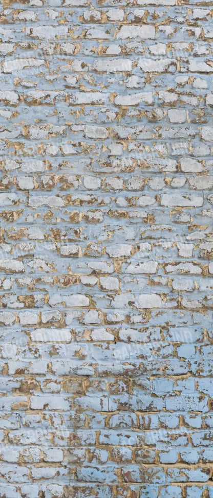 Exterior 5X12 Ultracloth For Westcott X-Drop ( 60 X 144 Inch ) Backdrop