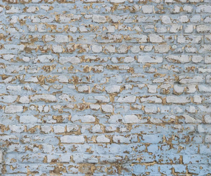 Exterior 5X42 Fleece ( 60 X 50 Inch ) Backdrop