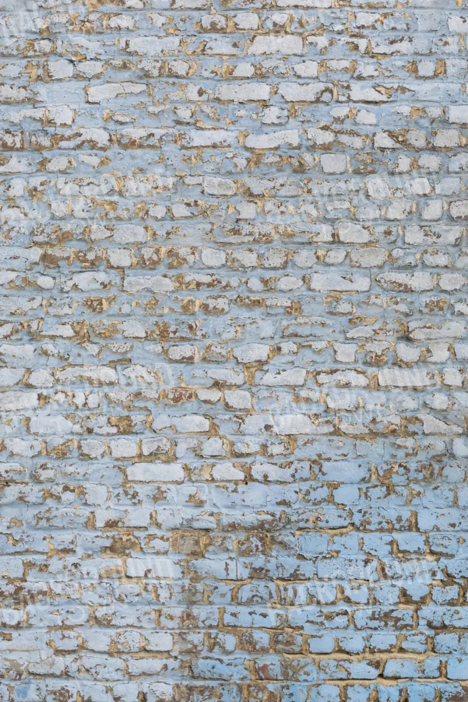 Exterior 5X8 Ultracloth ( 60 X 96 Inch ) Backdrop