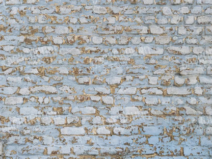 Exterior 68X5 Fleece ( 80 X 60 Inch ) Backdrop