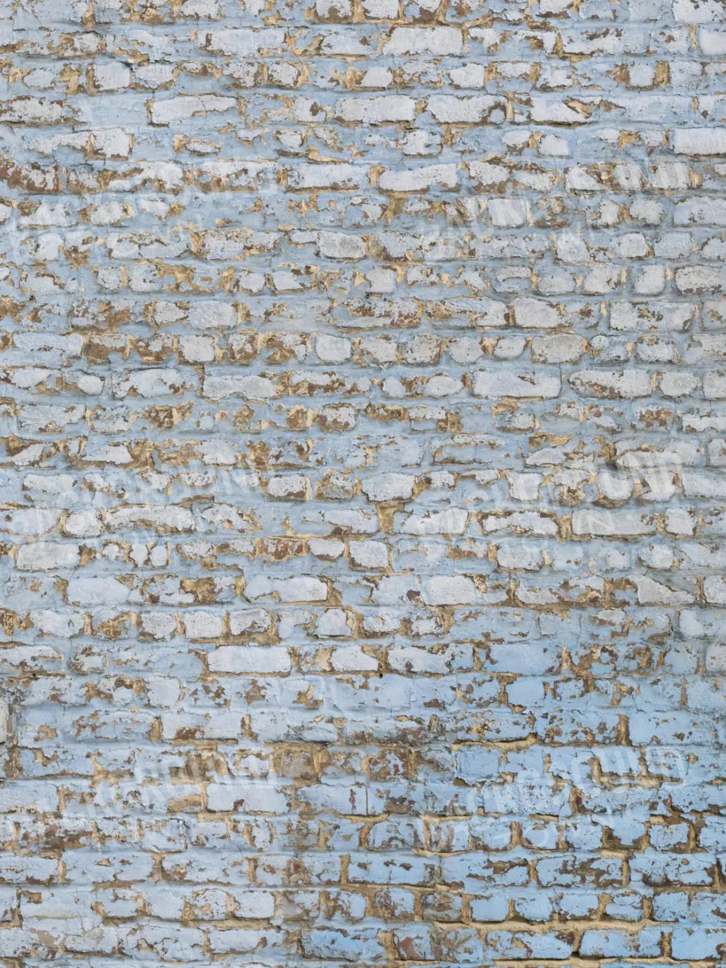 Exterior 8X10 Fleece ( 96 X 120 Inch ) Backdrop