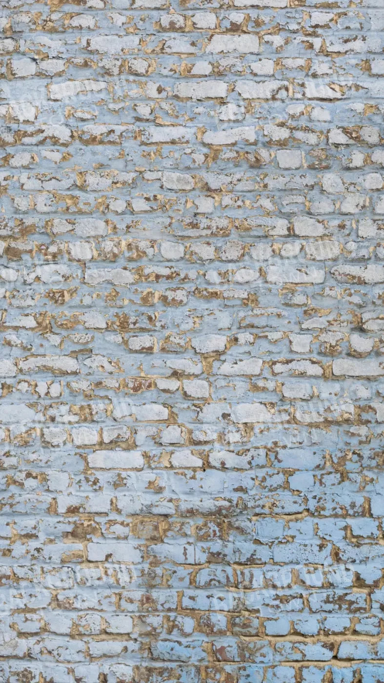 Exterior 8X14 Ultracloth ( 96 X 168 Inch ) Backdrop