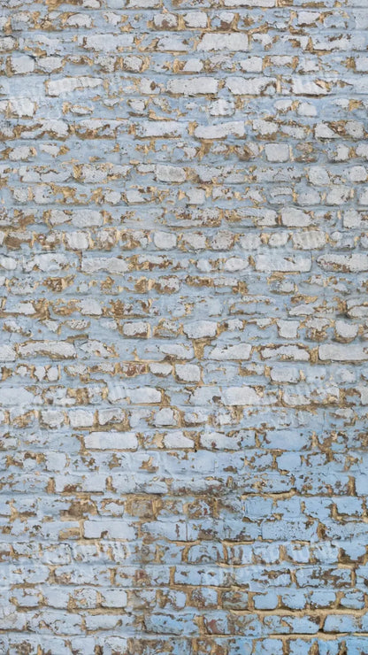 Exterior 8X14 Ultracloth ( 96 X 168 Inch ) Backdrop