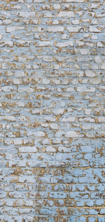Exterior 8X16 Ultracloth ( 96 X 192 Inch ) Backdrop