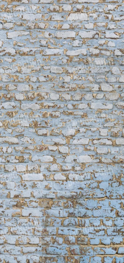 Exterior 8X16 Ultracloth ( 96 X 192 Inch ) Backdrop