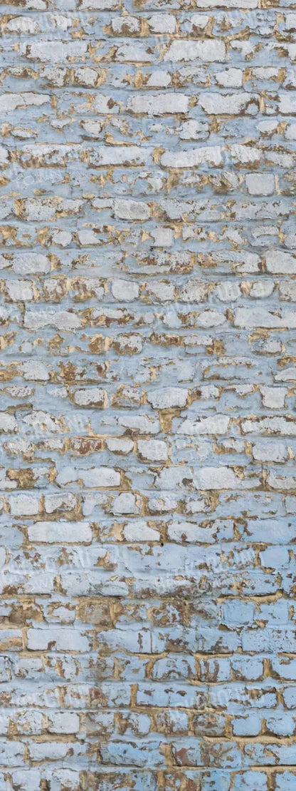 Exterior 8X20 Ultracloth ( 96 X 240 Inch ) Backdrop