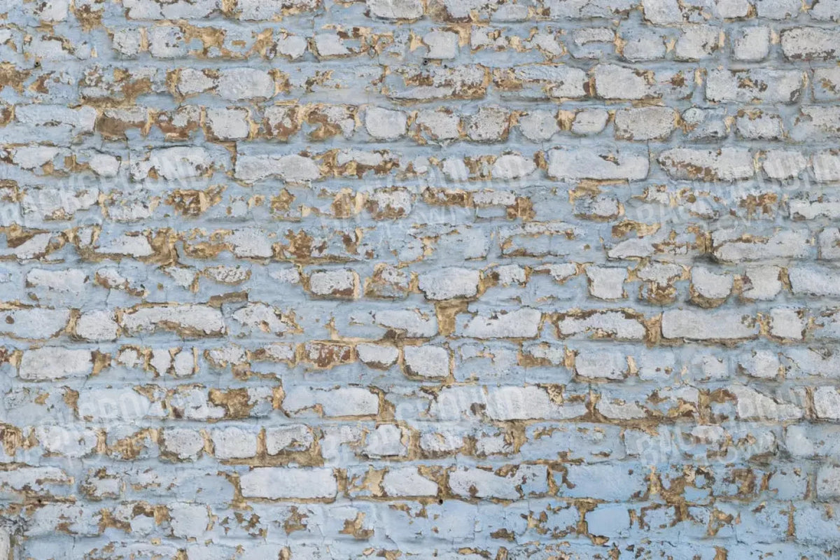 Exterior 8X5 Ultracloth ( 96 X 60 Inch ) Backdrop
