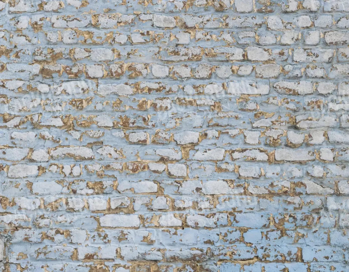 Exterior 8X6 Fleece ( 96 X 72 Inch ) Backdrop