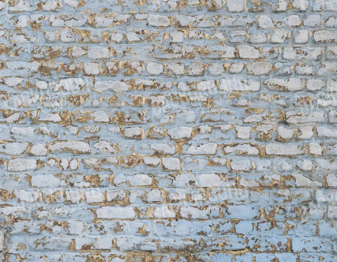 Exterior 8X6 Fleece ( 96 X 72 Inch ) Backdrop