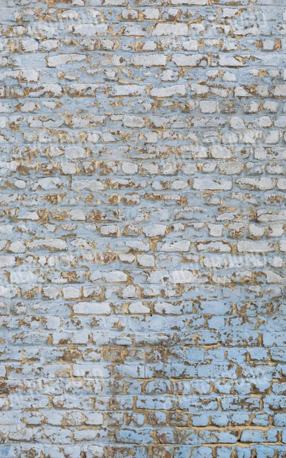 Exterior 9X14 Ultracloth ( 108 X 168 Inch ) Backdrop