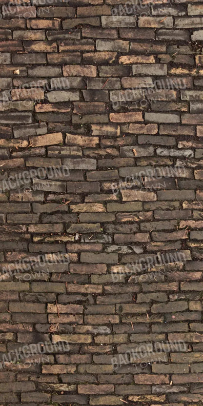 Facade 10X20 Ultracloth ( 120 X 240 Inch ) Backdrop