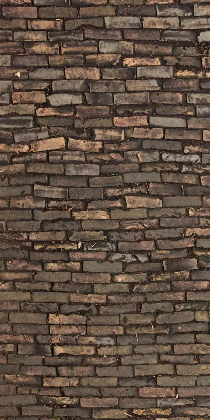 Facade 10X20 Ultracloth ( 120 X 240 Inch ) Backdrop
