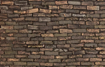 Facade 12X8 Ultracloth ( 144 X 96 Inch ) Backdrop