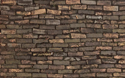 Facade 14X9 Ultracloth ( 168 X 108 Inch ) Backdrop