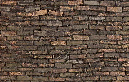 Facade 16X10 Ultracloth ( 192 X 120 Inch ) Backdrop