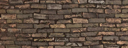 Facade 20X8 Ultracloth ( 240 X 96 Inch ) Backdrop