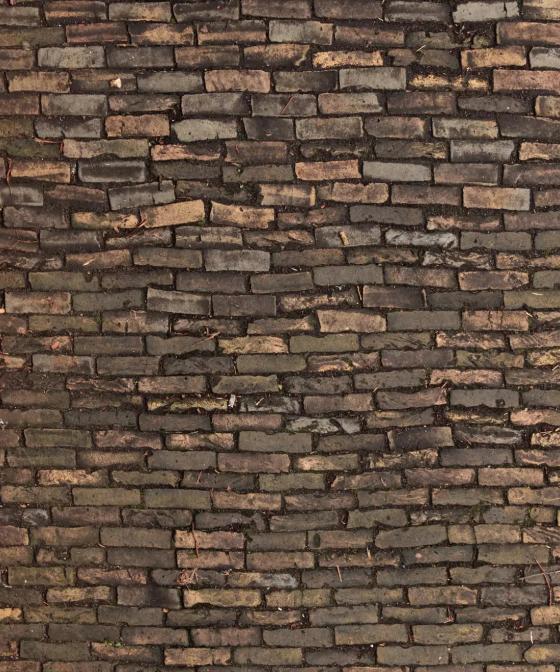 Brown Brick and Stone Backdrop for Photography