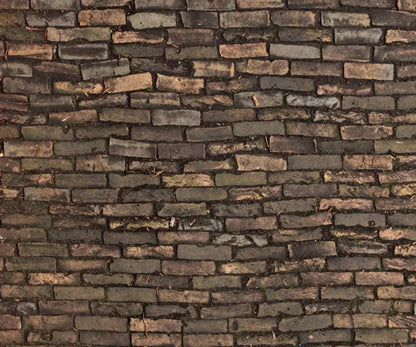 Facade 5X42 Fleece ( 60 X 50 Inch ) Backdrop